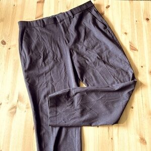 Express Mocha Pants